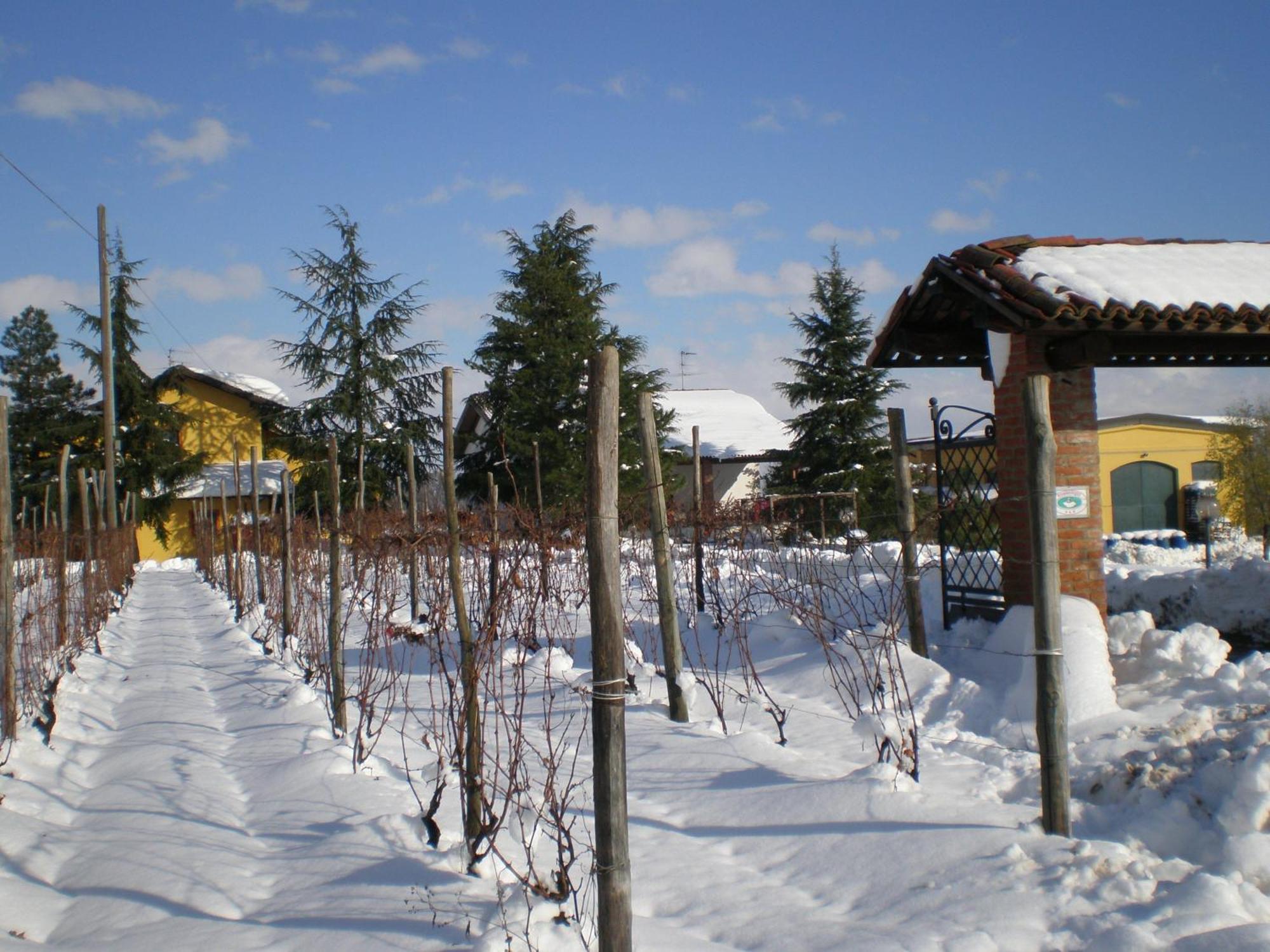 Cascina La Maddalena Bed & Wine Rocca Grimalda Exterior foto